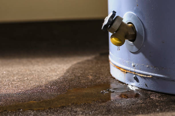 Best 24/7 water damage repair  in Colville, WA