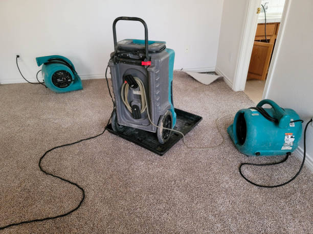 Professional Water damage restoration in WA
