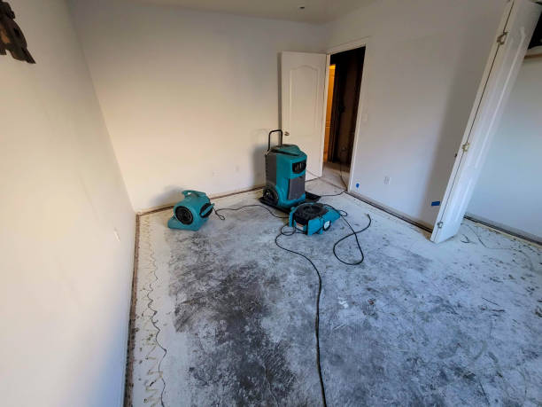 Best Flood restoration services  in Colville, WA