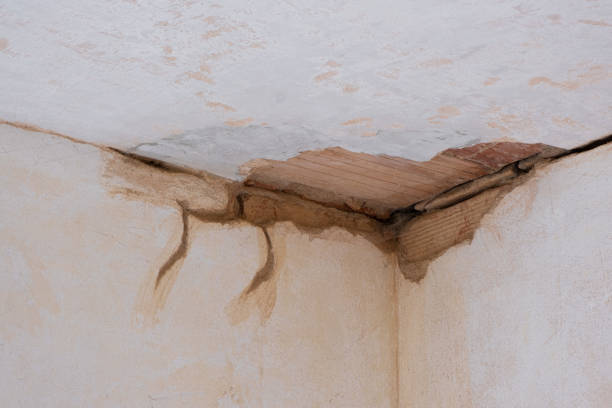Best Local water damage restoration  in Colville, WA