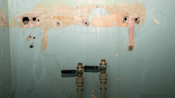 Best Emergency water damage restoration  in Colville, WA